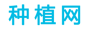 种植网